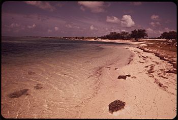 LITTLE DUCK KEY, A VERY SMALL KEY, WHICH IS NOT DEVELOPED LAND DEVELOPMENT REGULATIONS ARE NEEDED IF CLEAR WATERS AND... - NARA - 548706.jpg