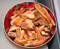 Lactarius deliciosus sliced email