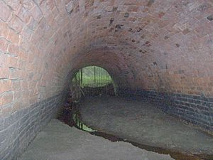 Looking out of Butterley Tunnel