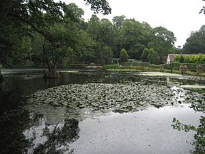 Mill Pond Leigh Place Godstone