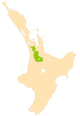 NZ-Waikato P