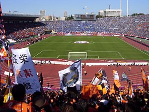 Nabisco Cup Final 2008 November 1st 2008