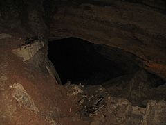 Natural Bridge Cavern Grendel's Canyon