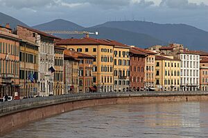 Pisa river view