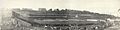 Polo grounds panorama