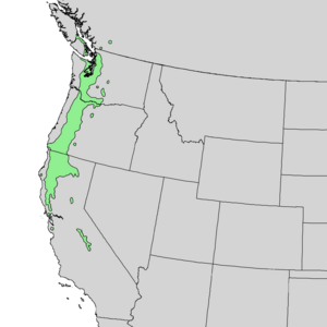 Quercus garryana range map 1.png