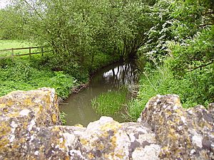 River Ock at Charney