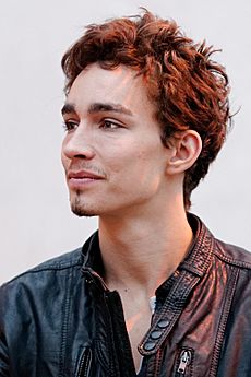 Robert Sheehan MingFilmFest 2011