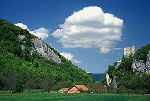 Ruine Neu Thierstein