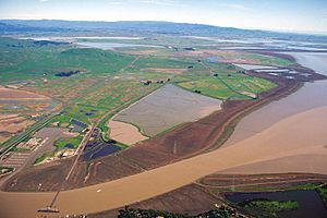 Sears Point California aerial view