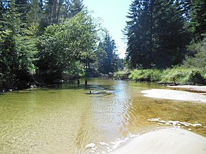 Siltcoos River below dam.JPG