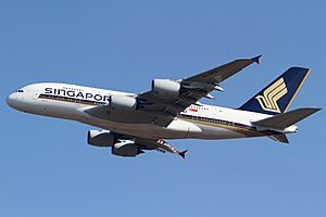 Singapore Airlines A380-800(9V-SKA).jpg