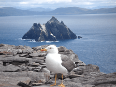 Skellig Michael