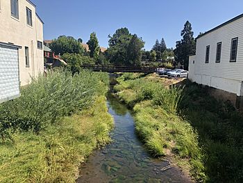 Sutter Creek - Stierch.jpg