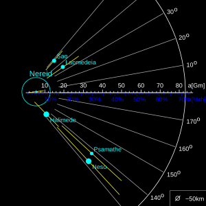 TheIrregulars NEPTUNE GROUPS