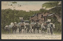 Trasportando para los (sic) alturas, Mayagüez