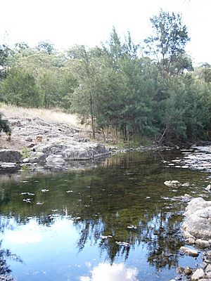 Turon river nsw 1