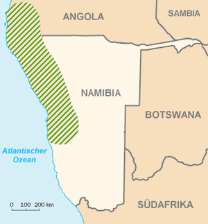 Welwitschia Mirabilis Area of Circulation.png