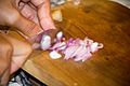 Woman chopping shallots