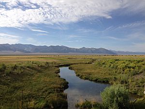 2014-07-28 08 08 07 View south up the Reese River from Nevada State Route 722 (Carroll Summit Road) in Lander County, Nevada