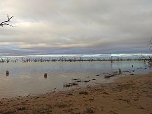 Amazing lake menindee