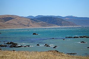 Cape Mendocino Coast