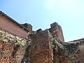 Château d'Ambérieux-en-Dombes - ruines