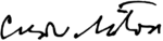 Czesław Miłosz signature 1985.svg