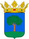 Coat of arms of Amezketa