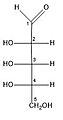 Fischer Projection of L-Ribose