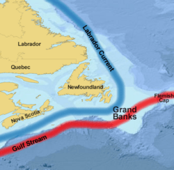 Grand Banks