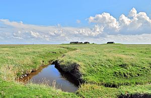 Hallig Gröde, Germany, view from the marina.jpg