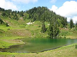 Heart lake Olympic National Park