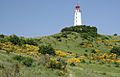 Hiddensee Dornbusch