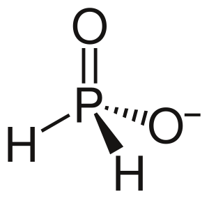 Hypophosphite ion