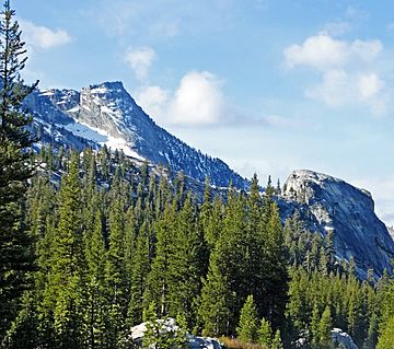 Johnson Peak, Yosemite 5-20-15 (19062518231).jpg