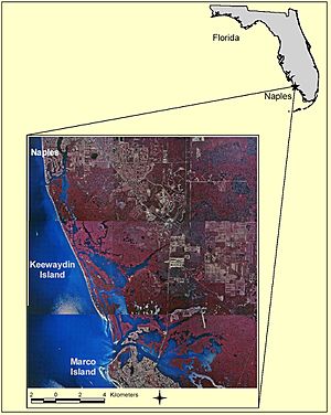 Keeywaydin island overhead