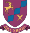 Coat of arms of Killarney