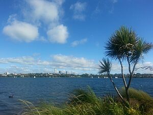 Lake Pupuke, Milford