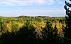 Lake Vermilion State Park Overlook.jpg