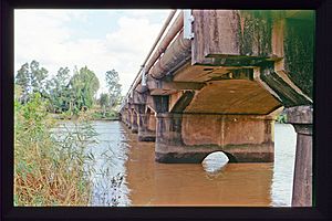 Lamington Bridge