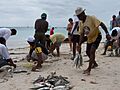 Mahé Beauvallon FishingOnThe Beach