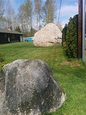 Market Street erratics.jpg