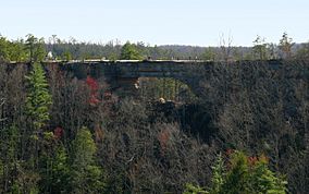 Natural Bridge KY-27527-3.jpg