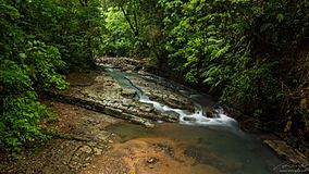 Nature in Costa Rica.jpg