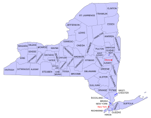 New York Counties.svg