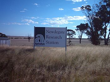 Newdegate agri station