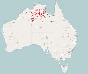 Northern Nailtail Wallaby.jpg