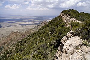 Oscura Mountains - Flickr - aspidoscelis (3)