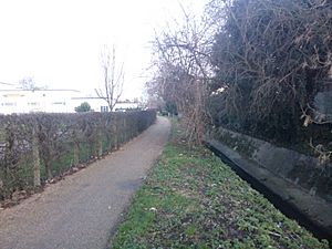 Prittle Brook Greenway